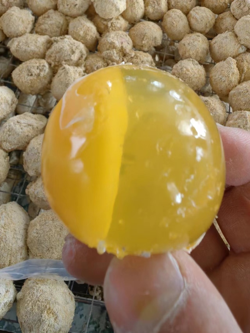 河南变蛋，松花蛋，产地直发，品质保证欢迎采购！
