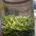 高山茶产自湖南和江西交界处高山顶上富晒绿茶，