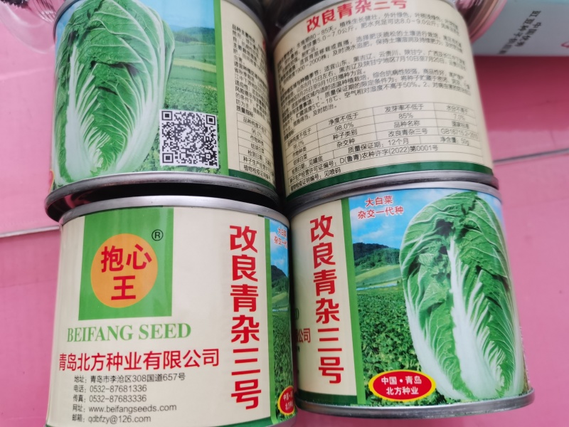 改良青杂三号50g/桶精品大白菜品种