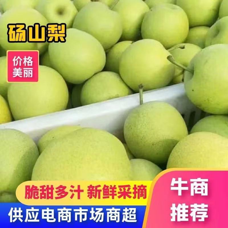 精品安徽砀山翠冠梨、丰水梨，现货个大皮薄口感脆甜大量有货