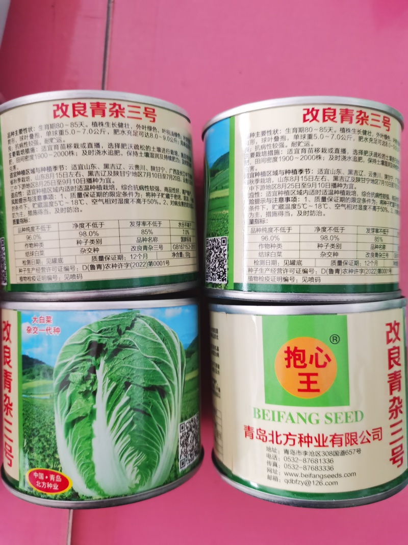 改良青杂三号50g/桶精品大白菜品种