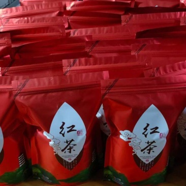 红茶金观音茶新茶叶24年头茬茶叶高山茶叶自产自销量大优惠