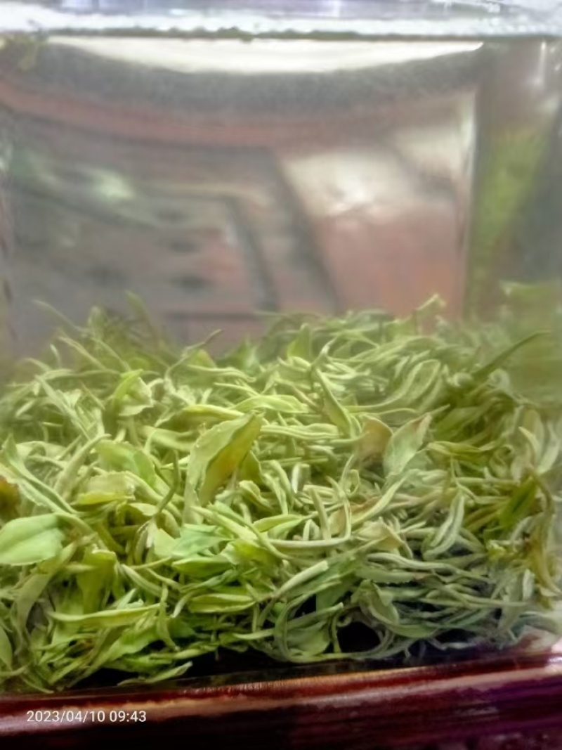 红茶金观音茶新茶叶24年头茬茶叶高山茶叶自产自销量大优惠