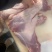 羊腩肉，纯干货精修不肥，货源稳定，适合卤炖都好用，价格低