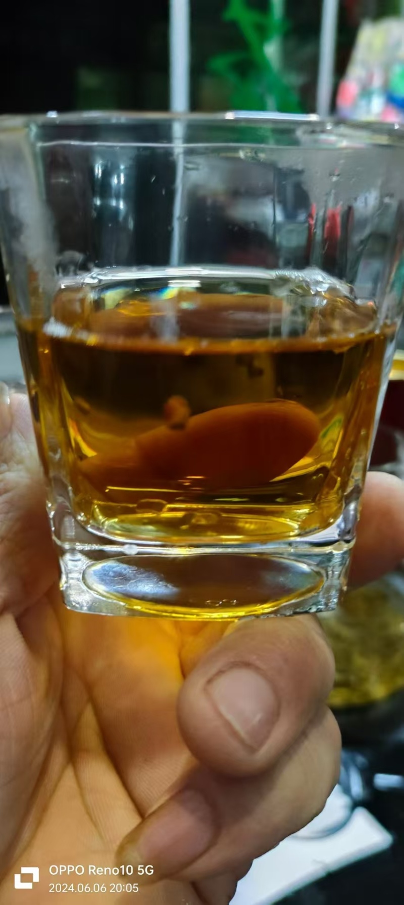 红茶金观音茶新茶叶24年头茬茶叶高山茶叶自产自销量大优惠