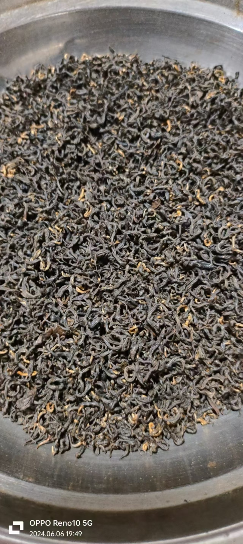 红茶金观音茶新茶叶24年头茬茶叶高山茶叶自产自销量大优惠