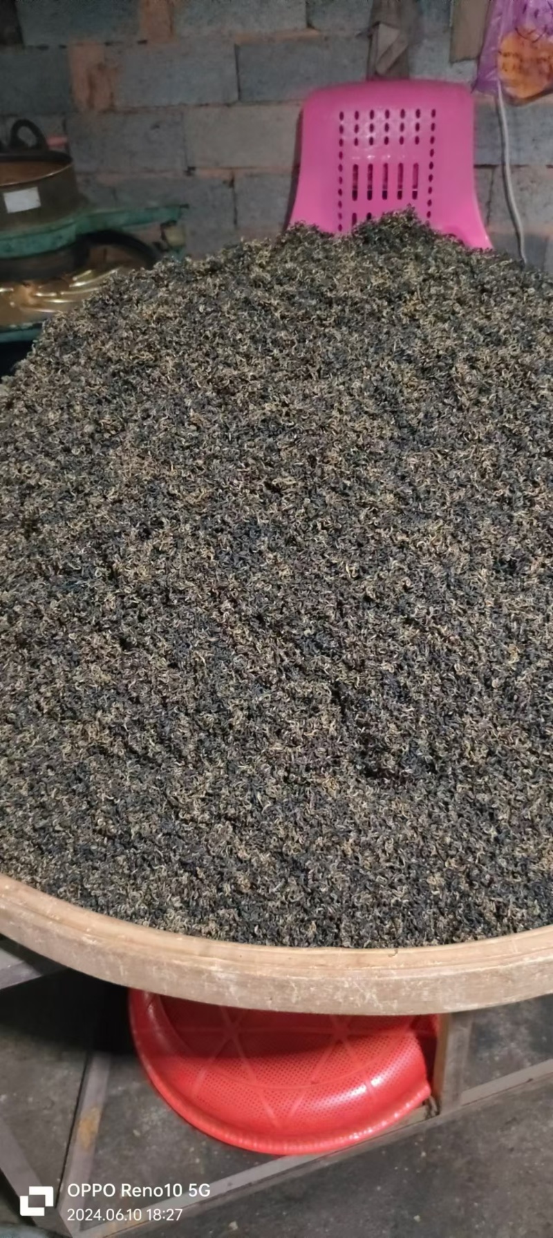 红茶金观音茶新茶叶24年头茬茶叶高山茶叶自产自销量大优惠