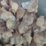 膝软骨箱装袋装规格齐全厂家直发冷链到全国