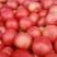 精品西红柿硬粉精品大棚硬粉西红柿大量上市中