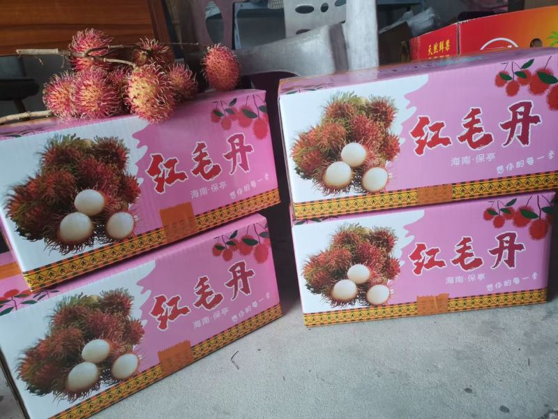 #海南保亭红毛丹#一件代发