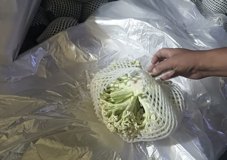 小油菜与其他蔬菜的营养对比图表