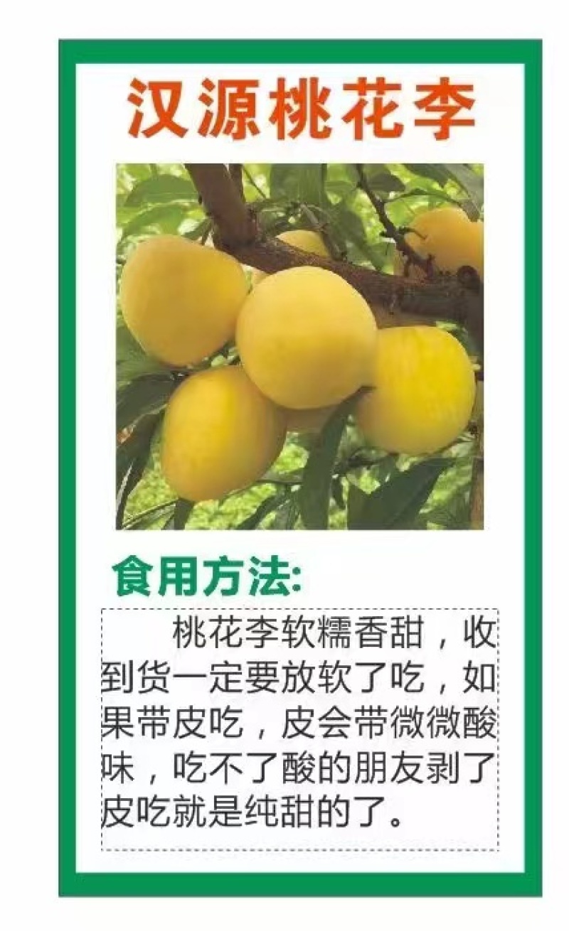 汉源桃花李李子