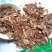 珍珠菜中药材珍珠菜