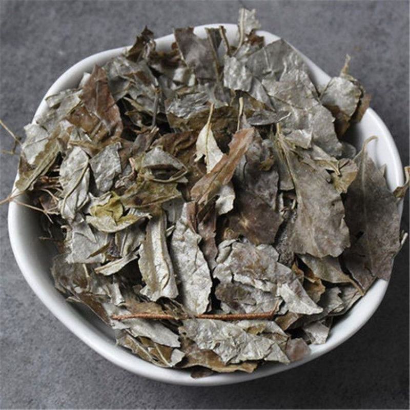 中药材胡秃子叶蒲颓叶胡颓子叶胡颓叶