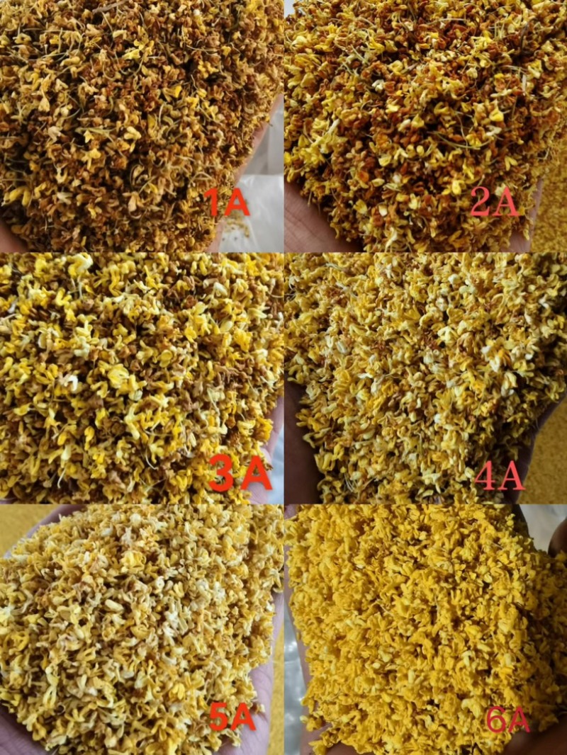 桂花干桂花干厂家直销量大花干净价格实惠微波冻干