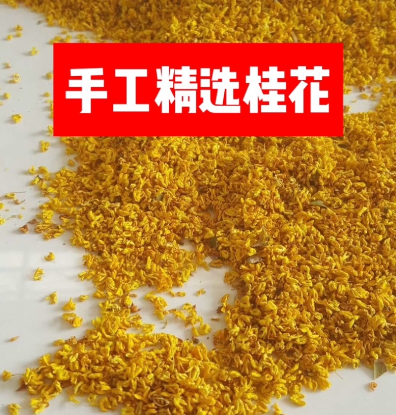 桂花干桂花干厂家直销量大花干净价格实惠微波冻干