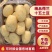 山东大棚新土豆荷兰十五大量供应全国发货质量保证诚信经营