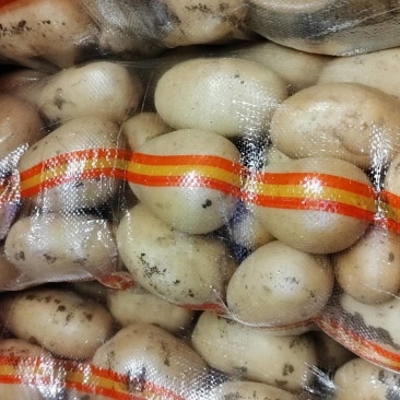 荷兰十五土豆精品1到3，2到4小土豆价格合理，质量上乘