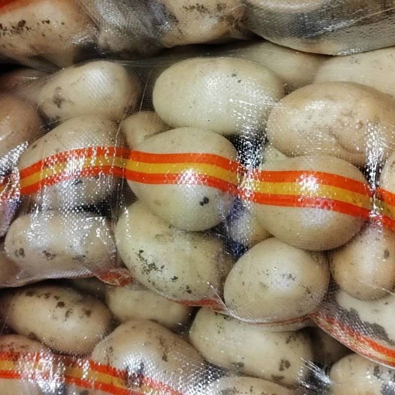 荷兰十五土豆精品1到3，2到4小土豆价格合理，质量上乘