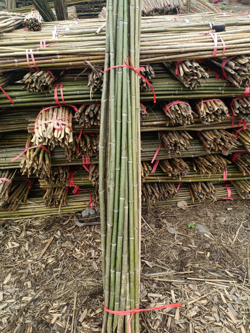 新鲜竹竿，优质农产品，直供农场，多种规格可选，快来选购！