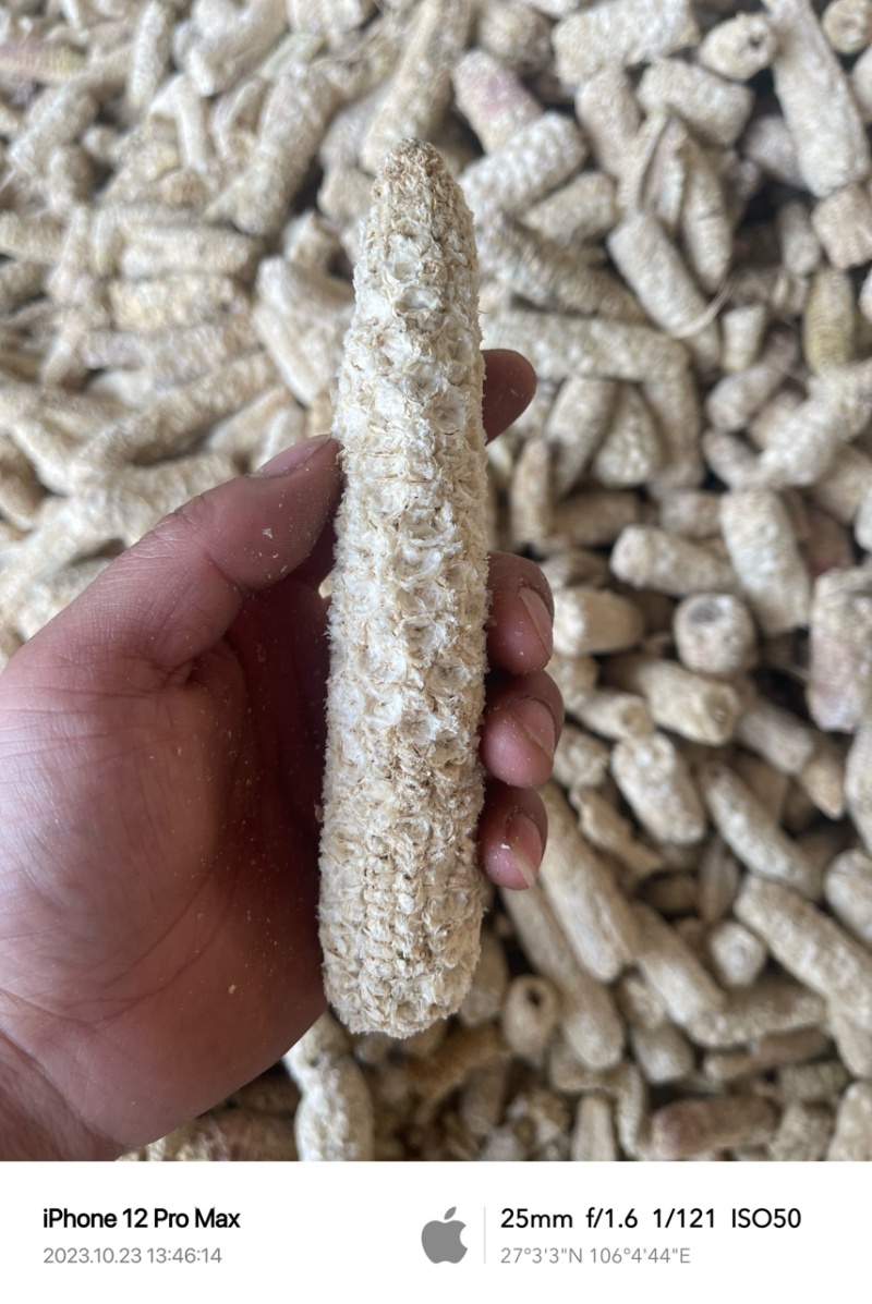 贵州纯白玉米芯颗粒