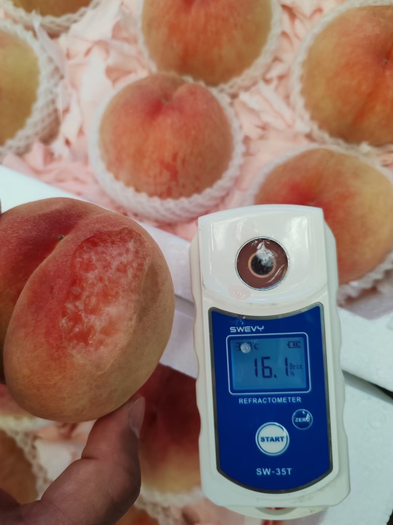 上海水蜜桃大量上市,周边对接市场，商超，工厂需要的联系我