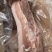公司销售猪副产品，五花肉，厂家直销，长期供应欢迎各位老板光临