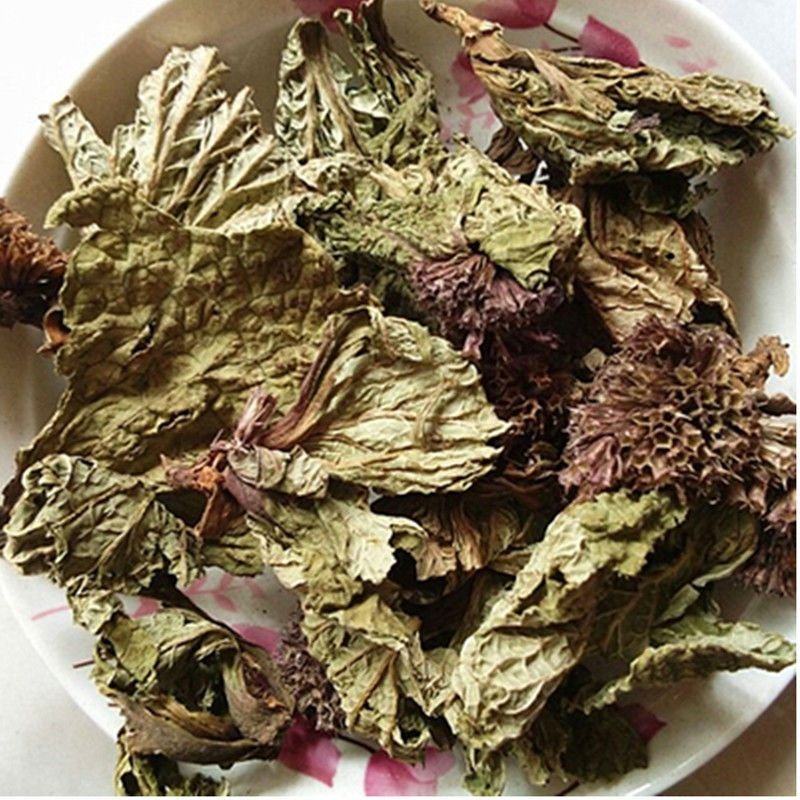 中药材独一味叶独一味根