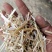 小麦秸秆花生秧牛羊草料常年大量供应诚实可靠
