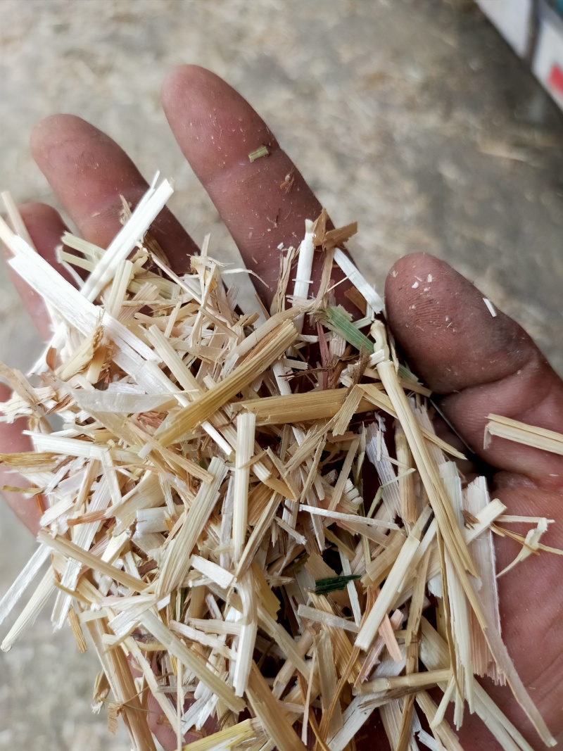 小麦秸秆花生秧牛羊草料常年大量供应诚实可靠