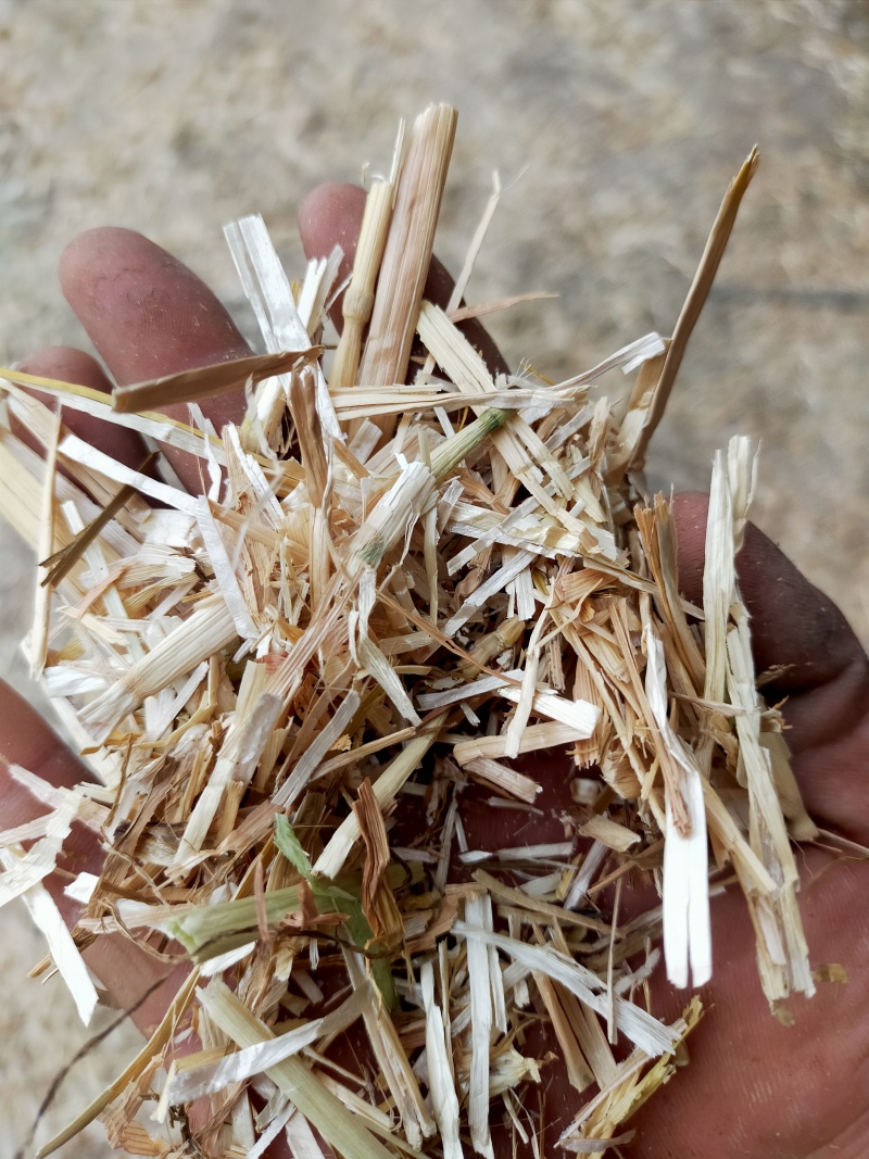 小麦秸秆花生秧牛羊草料常年大量供应诚实可靠