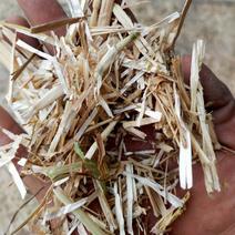 小麦秸秆花生秧牛羊草料常年大量供应诚实可靠