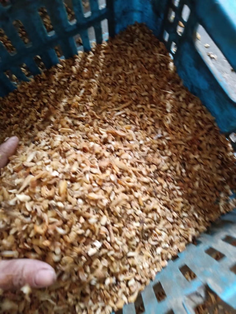 优质湖南邵阳玉竹，玉竹片，玉竹段规格齐全产地一手货源。