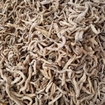 精品湖南玉竹，玉竹段产地一手货源质量保证物美价廉欢迎来电