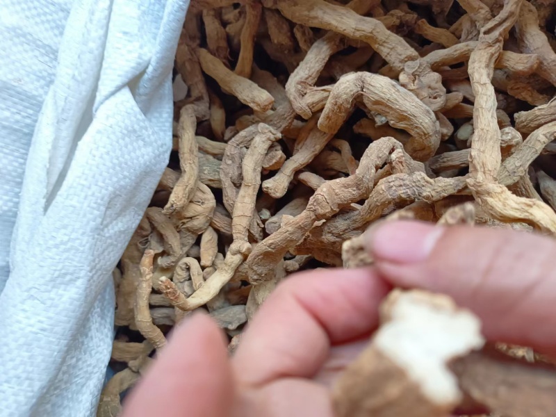 精品湖南玉竹，玉竹段产地一手货源质量保证物美价廉欢迎来电