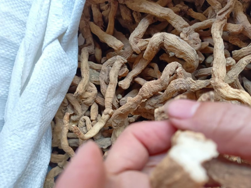 精品湖南玉竹，玉竹段产地一手货源质量保证物美价廉欢迎来电