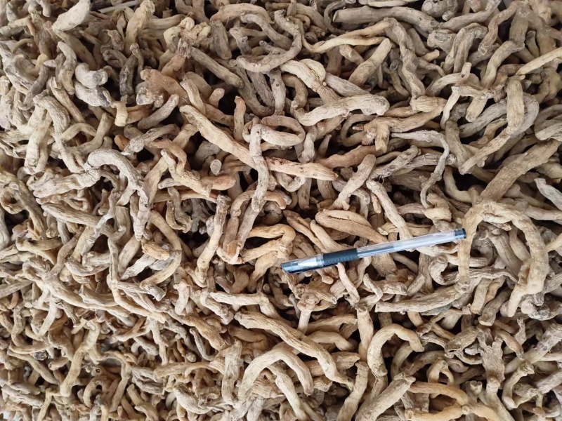 精品湖南玉竹，玉竹段产地一手货源质量保证物美价廉欢迎来电