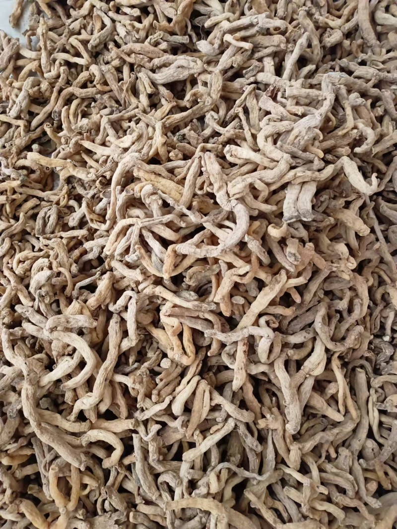 精品湖南玉竹，玉竹段产地一手货源质量保证物美价廉欢迎来电