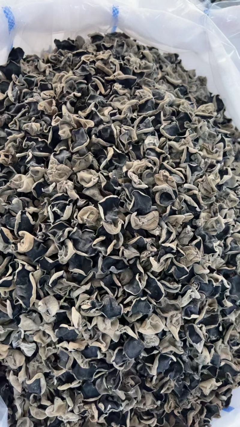 黑龙江大地头茬黑厚木耳，筋道耐泡，泡发率10倍左右