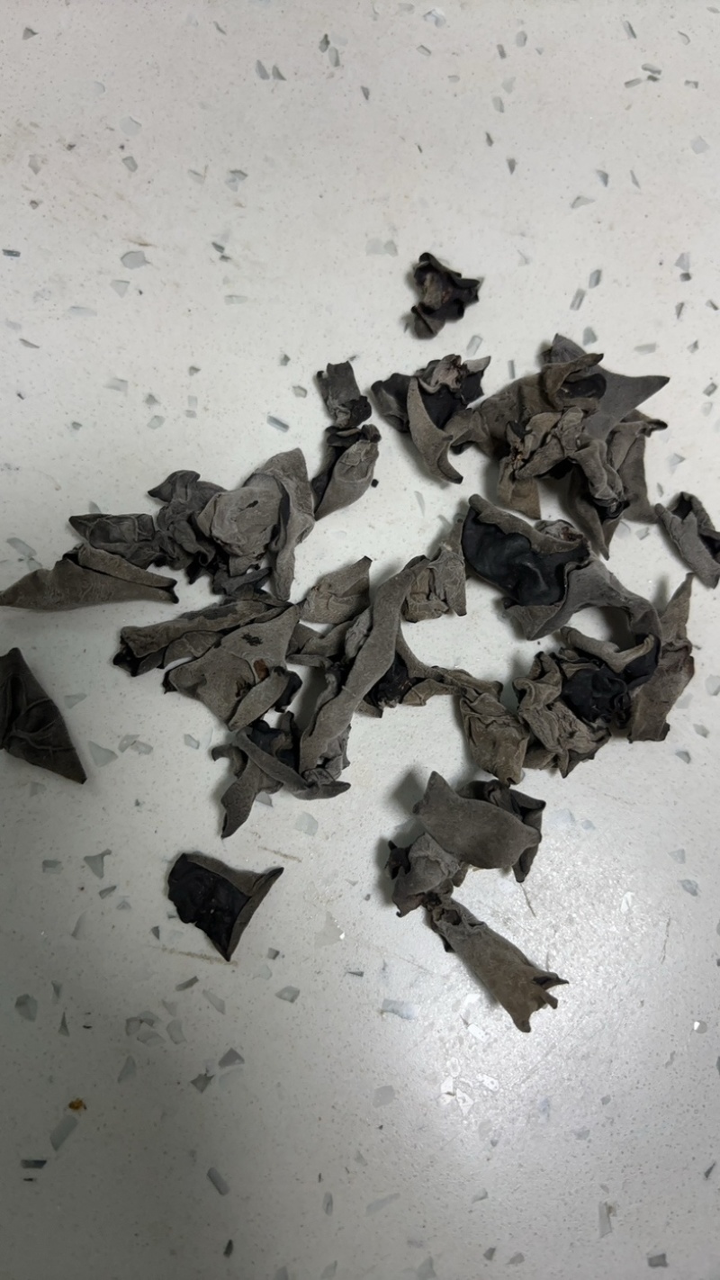 黑龙江大地头茬黑厚木耳，筋道耐泡，泡发率10倍左右