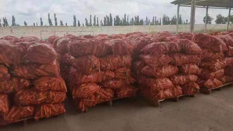 胡萝卜水洗，次品，养殖户专用
