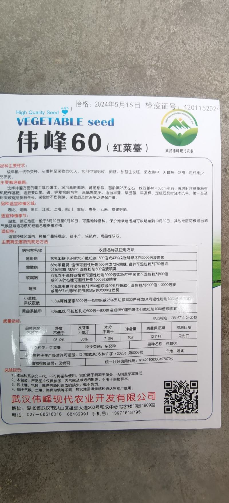 红菜苔种子伟峰60湖北早熟红菜苔