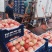 突围桃水蜜桃毛桃市场货精品货大量供应批发团购商超