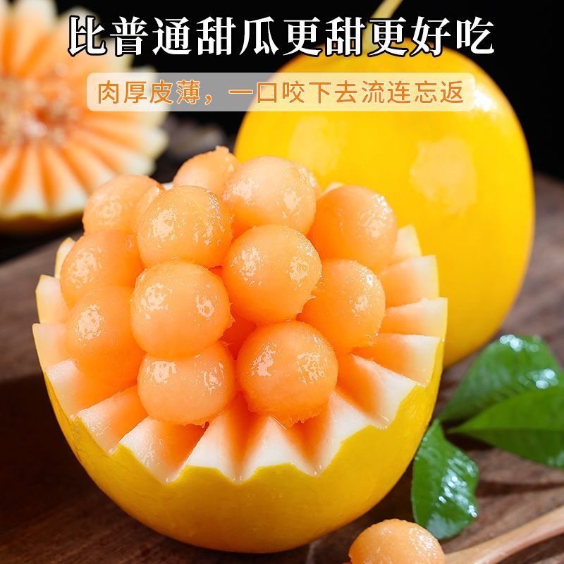 甘肃金红宝甜瓜黄金蜜精品产地直发保质保量欢迎咨询