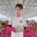 甘肃民勤蜜瓜，小蜜，西州蜜，大量上市，专业代办，欢迎采购