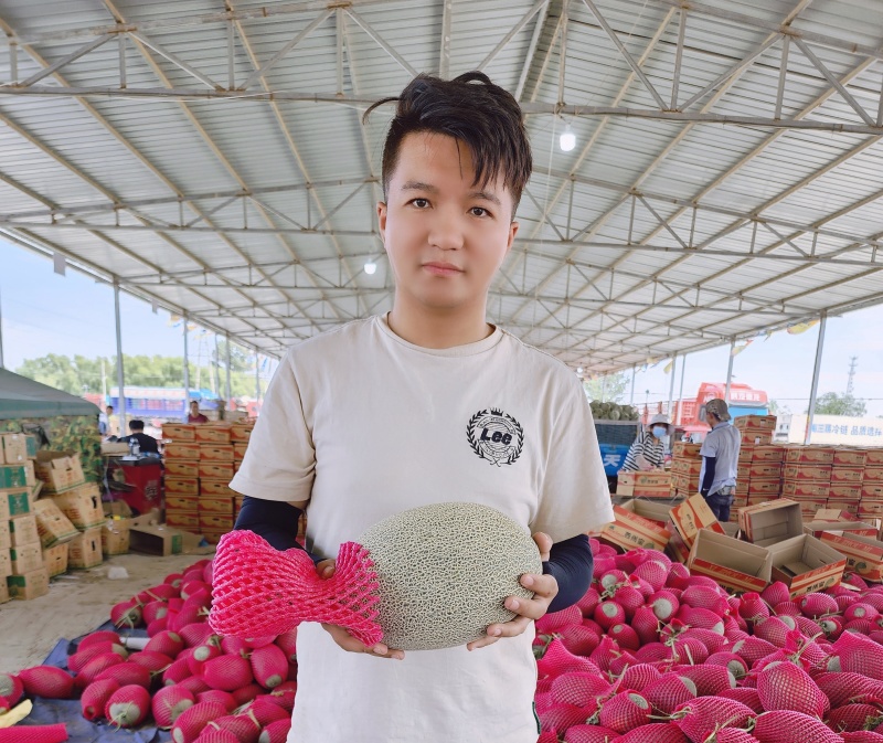 甘肃民勤蜜瓜，小蜜，西州蜜，大量上市，专业代办，欢迎采购