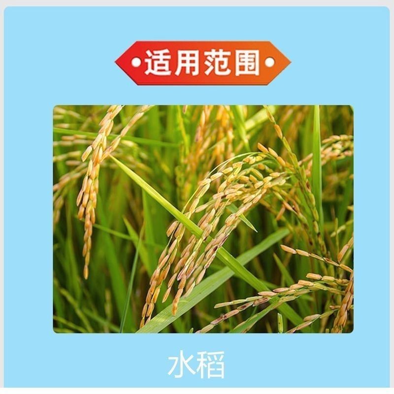 猛赢噻虫胺48%噻虫铵噻虫安水稻稻飞虱内吸胃毒触杀农药