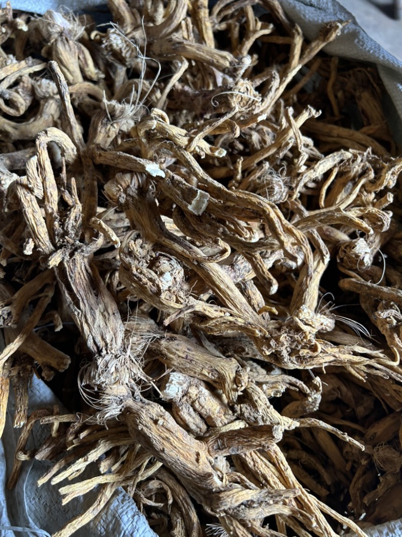云南秦艽2年根新货干货10吨