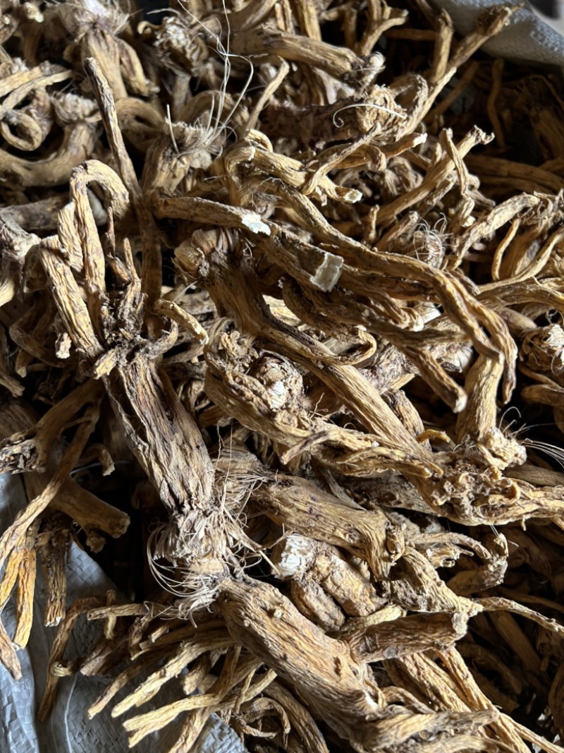 云南秦艽2年根新货干货10吨