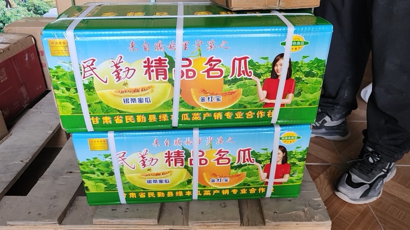甘肃民勤银帝蜜瓜，专业代办，诚信为本，欢迎采购